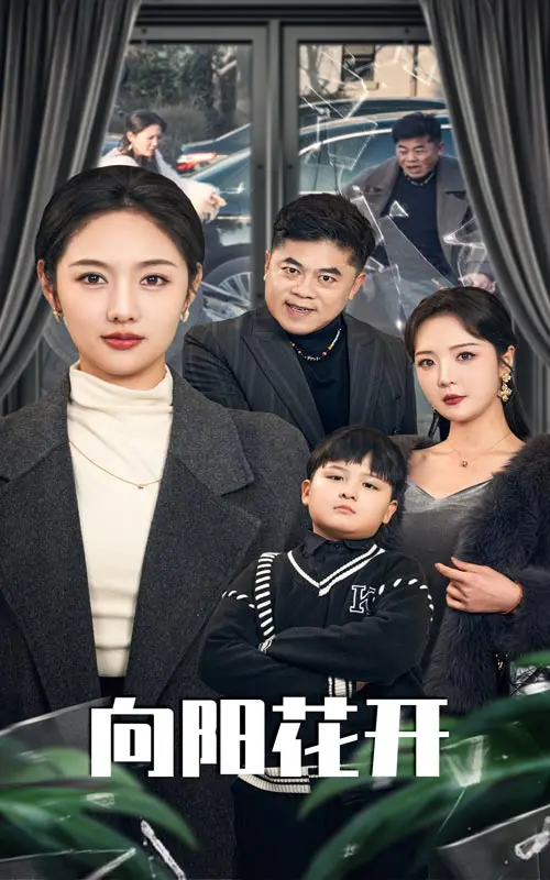 溺爱的代价 向阳花开 海报