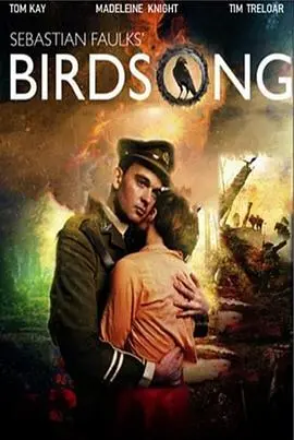 战火下的哀歌：《鸟鸣 下》触动人心的生命绝唱