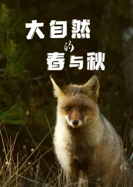 《大自然的春与秋》：一场关于生命轮回的视觉盛宴