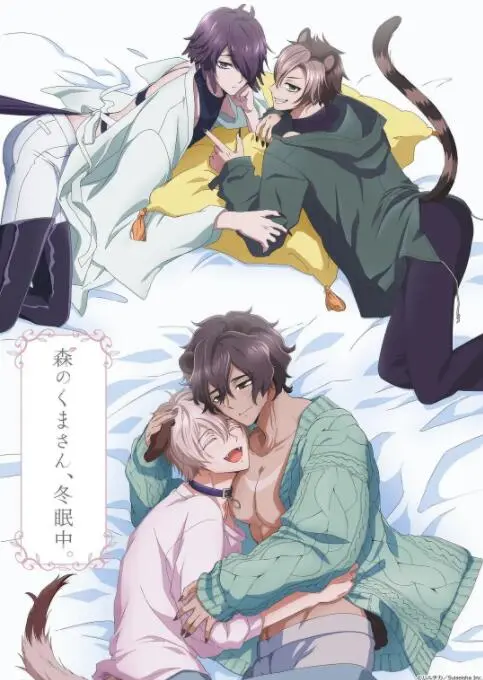 《森林里的熊先生冬眠中》：一场关于孤独、等待与重生的温暖童话