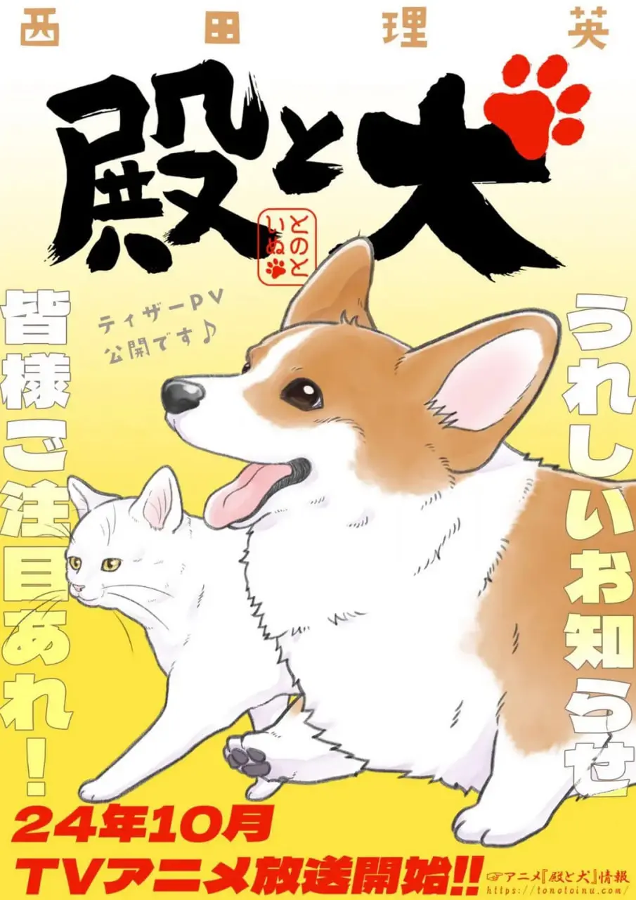 《老爷与犬》：一段跨越物种的深情告白，暖心治愈你的每一刻！