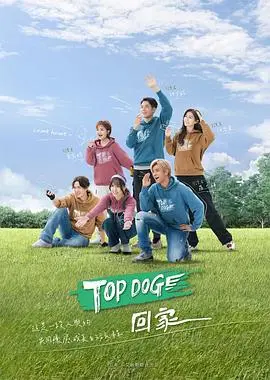 《TOP DOG》：硬汉的生存法则与信号解读，在绝境中寻找一线生机！